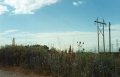 #5: Powerlines through a field.