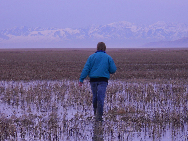 The march to the confluence