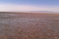 Visit #11: [07-Feb-12]
