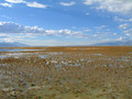 #4: View South - Salt Lake International Control Tower just visible