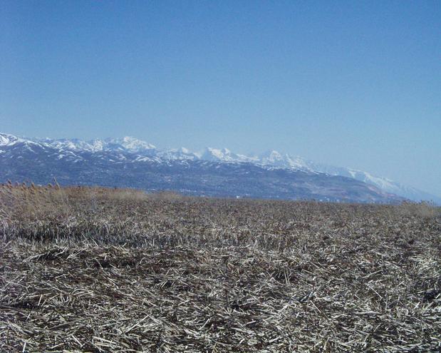 looking south to another section of the Wasatch