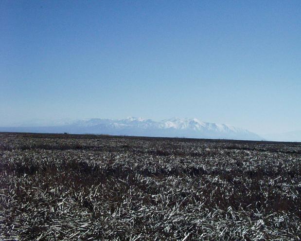 looking west