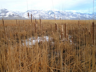 #1: View to the southeast from the closest point to the confluence.