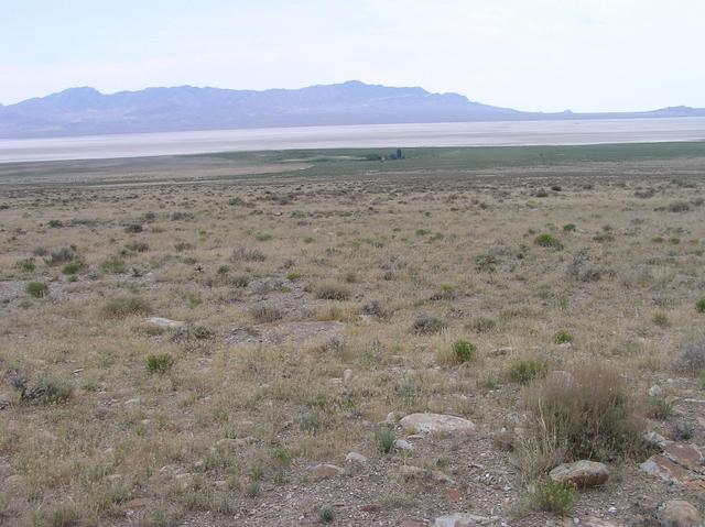 View East (a dry lake bed, and the Eugene Munsee Cabin)