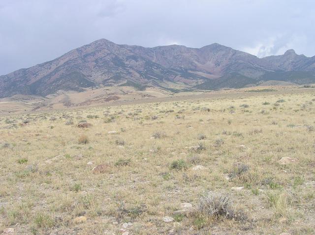 View West (the 10,716 foot Pilot Peak, in Nevada)