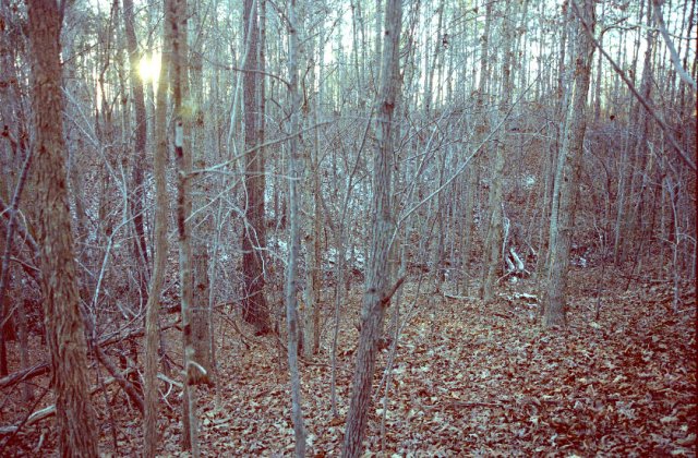 View to the west, back across the gully we had to walk around