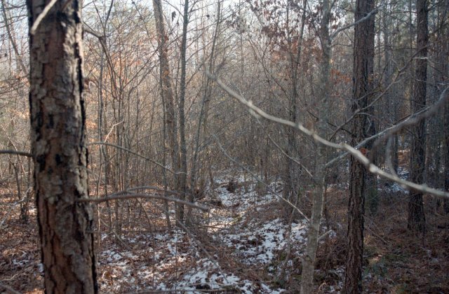 View back down the small hollow