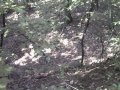 #3: A shot downhill