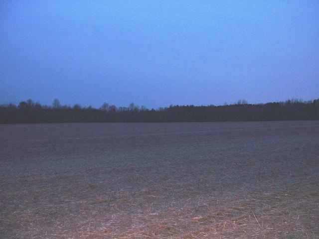 Looking East
