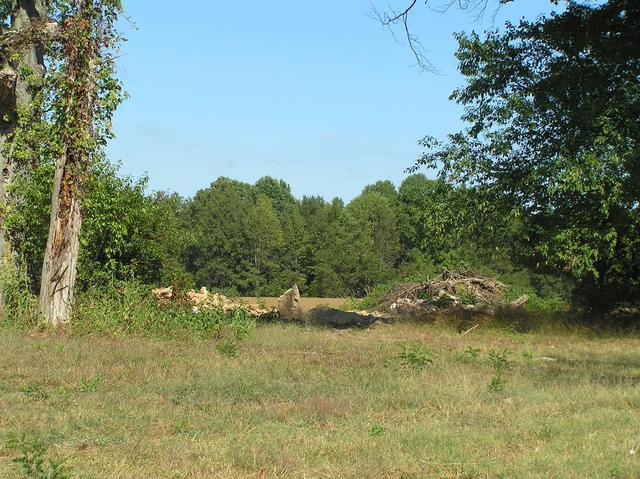 Abandoned buildings from the previous visit that are now heaps of rubble.