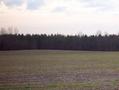 #3: View to the south.