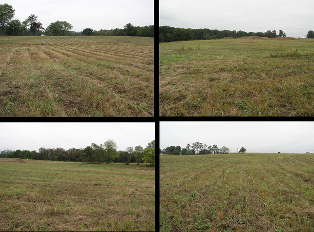 Clockwise from the upper left corner:  Looking north, east, south, and west.