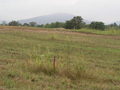 #2: This survey marker indicates impending change at 38N 79W.  (In the distance to the SSW, the Appalachian Trail crosses over The Priest, at 4063 feet the highest point of the Religious Range, which also includes Little Priest, The Cardinal, and The Friar).