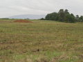 #7: Looking southeast towards the Blue Ridge Parkway.