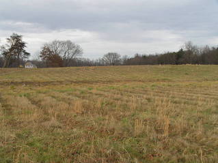 #1: View to the northwest from the confluence of 38 North 79 West.