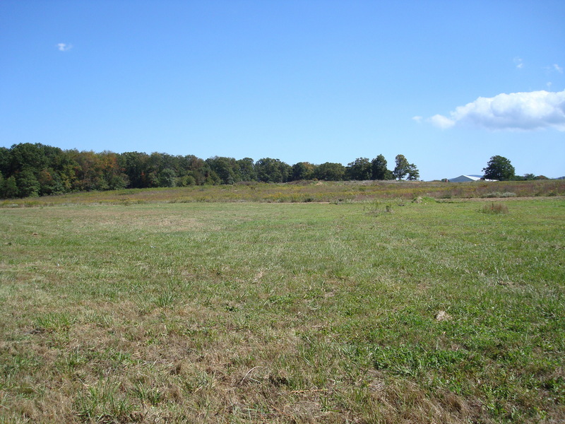 General view of the confluence