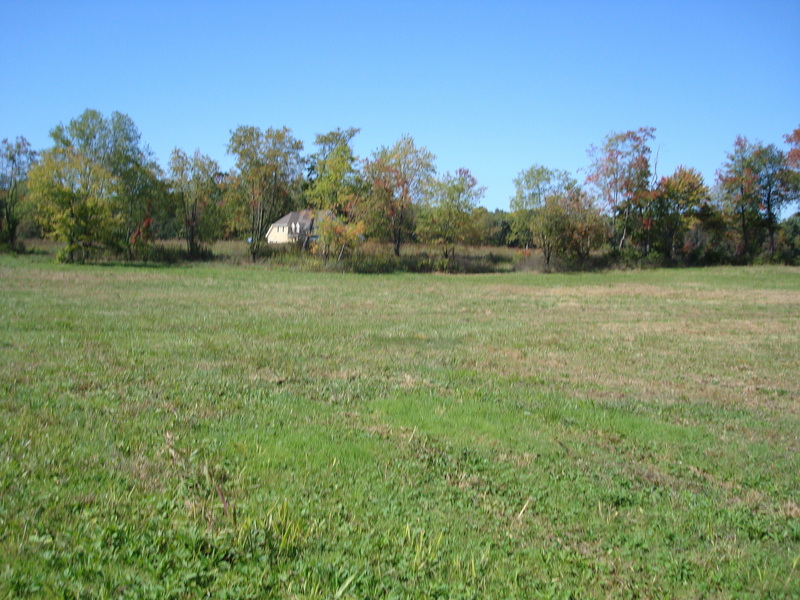 Confluence Looking West