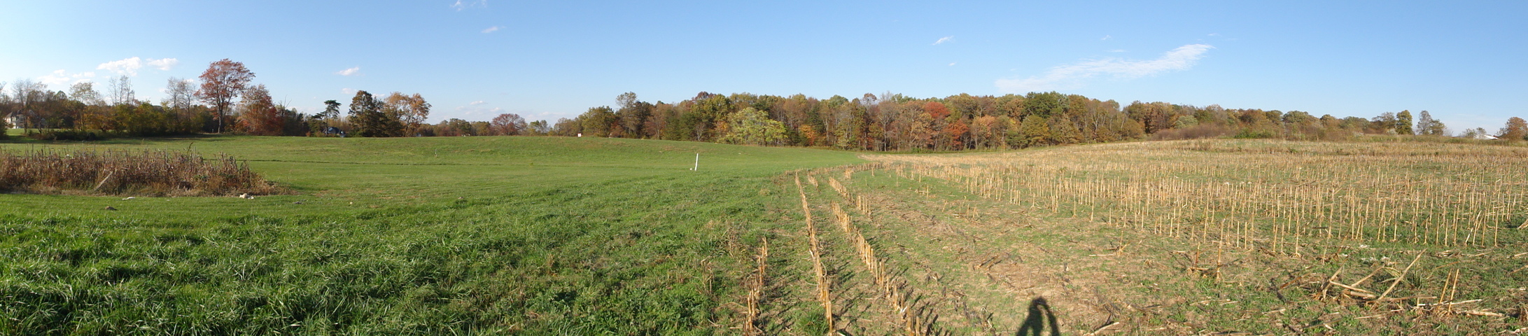 WNE panoramic view from our position 28 m west of the CP