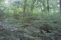 Visit #11: [27-Jul-13]