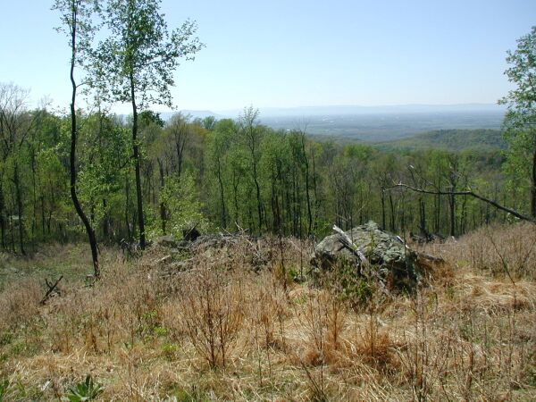 View across the mountains about .1 mile from the point.