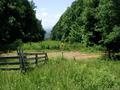 #8: Looking west down the pipeline clearing