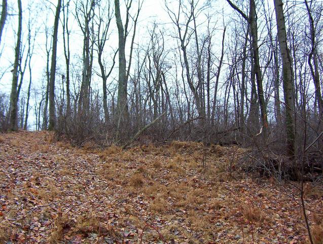 View west:  follow this to the "road" and back to the AT.