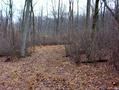 #2: View down the clearing to the east.