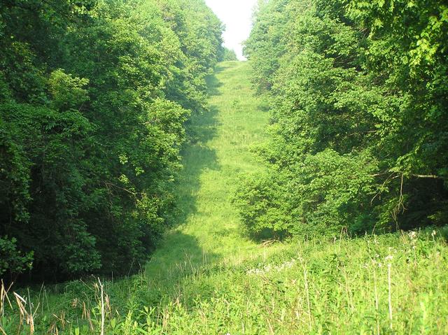 Clear cut over pipeline, 500 meters south of the confluence.