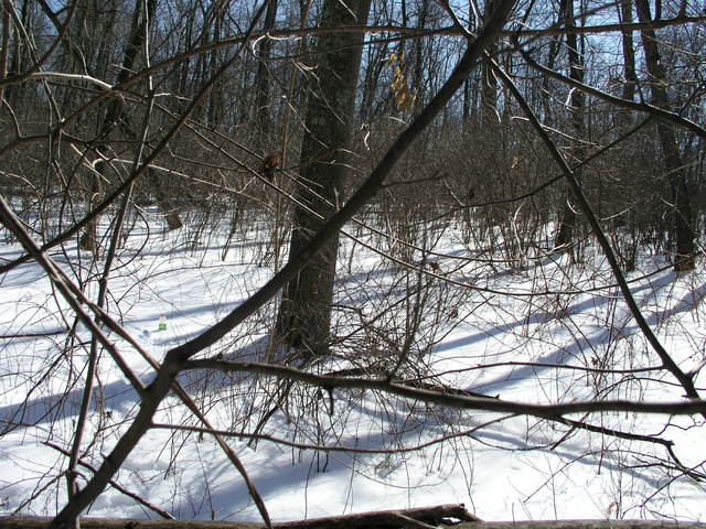 Even with a nice cover of snow, the view to the south can’t be called scenic.