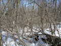 #3: Even in winter, branches partly obscure the view to the east from 39N 78W.