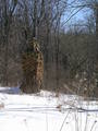 #8: The first winter view of the frequently documented old chimney located just south of 39N 78W.