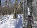 #9: Signs of the Appalachian Trail in winter.