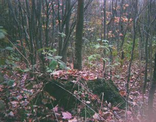 #1: A rock in the Vermont woods.