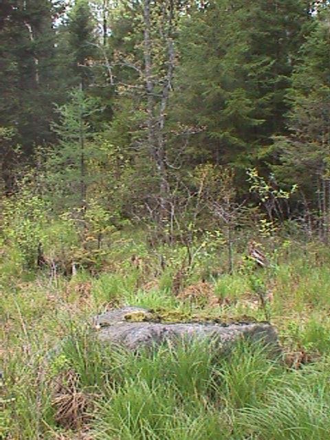 The confluential rock