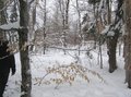 #3: Looking South from the confluence