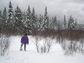 #7: Marsh crossing as squall line approaches