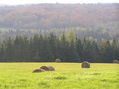 #8: Beautiful scene in Vermont, 5 km west of the confluence.