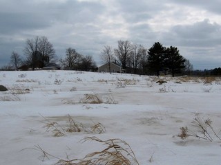 #1: The confluence lies 65 m beyond in this view looking south.