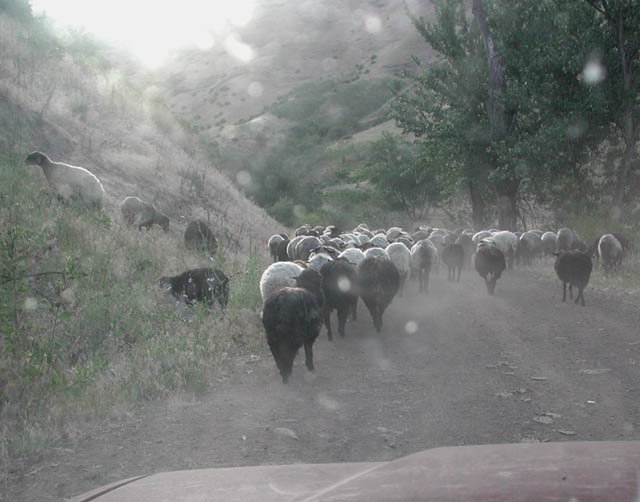 Early Morning Traffic Jam