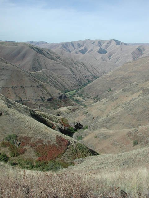 Looking Down the Canyon on the Hike Back