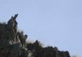 #3: Howling Coyote Rock Formation