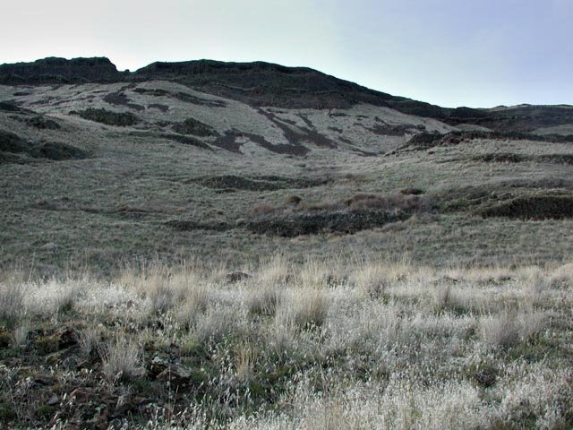 Looking towards the top of the Gorge