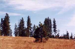 #1: View south from the confluence.