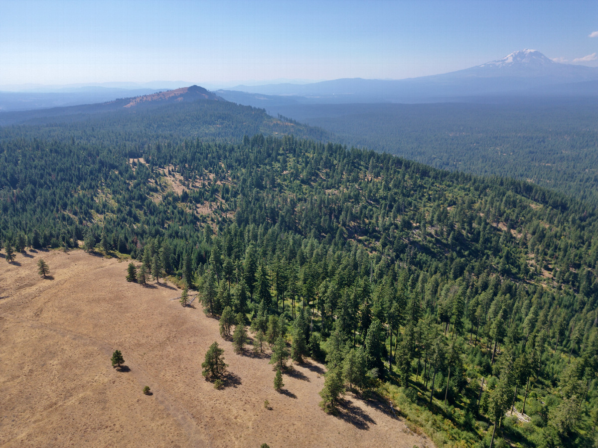 View West (with a view of Mount Adams to the right), from 120m above the point