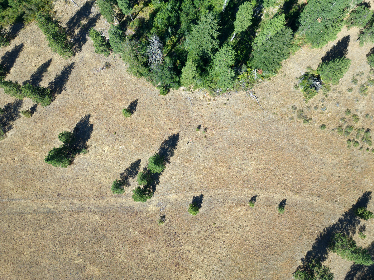 Looking down on the point from a height of 120m