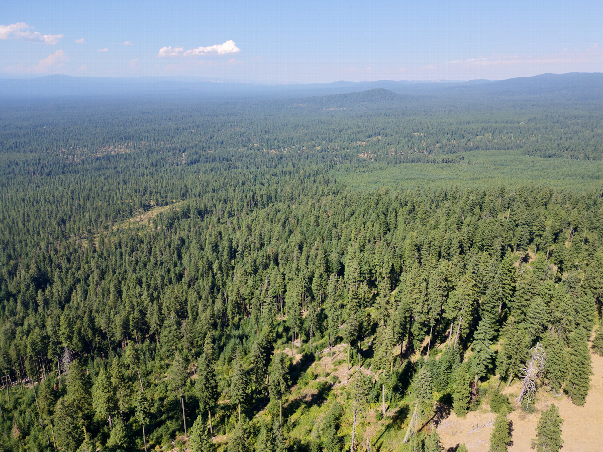 View North, from 120m above the point