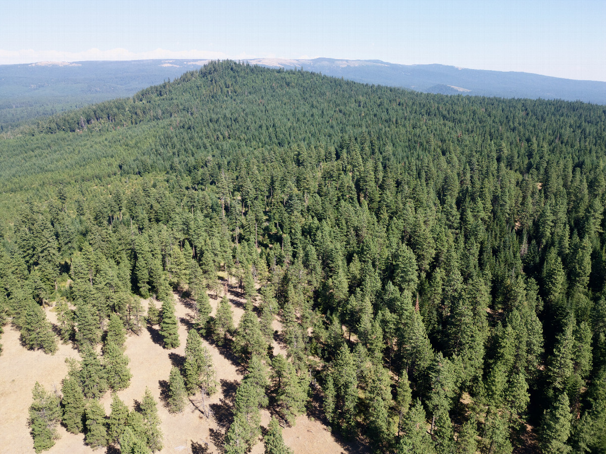 View East, from 120m above the point