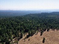 #10: View South, from 120m above the point