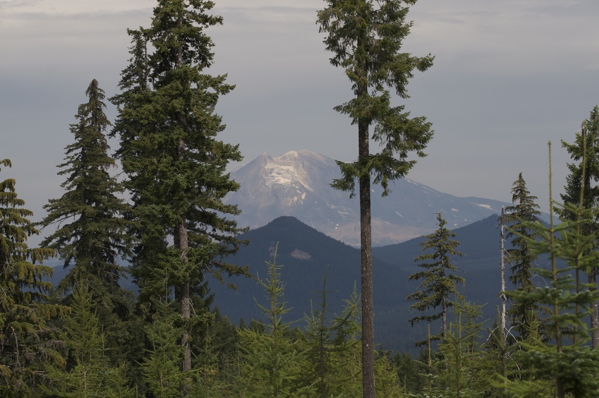 A view of Mount Saint Helens, from near the confluence point