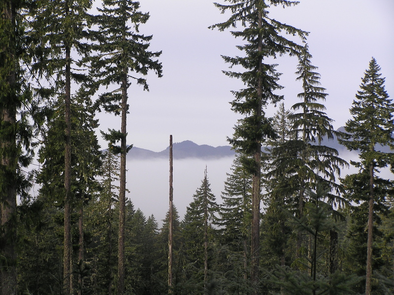 The most scenic view to the northwest from the confluence.